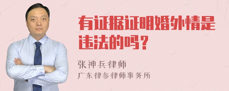 有证据证明婚外情是违法的吗？