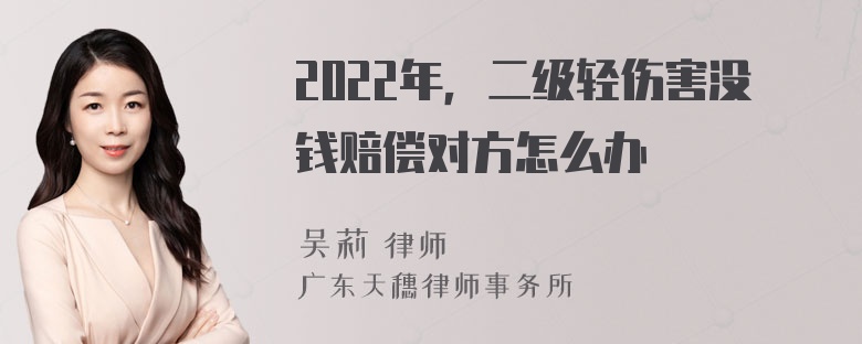 2022年，二级轻伤害没钱赔偿对方怎么办