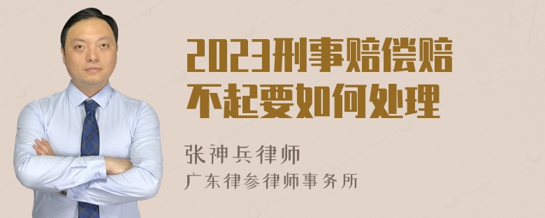 2023刑事赔偿赔不起要如何处理