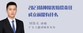 2023精神损害赔偿责任成立前提有什么