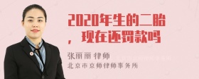 2020年生的二胎，现在还罚款吗