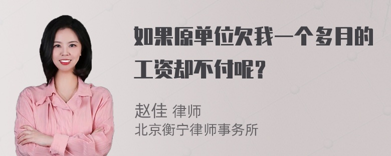 如果原单位欠我一个多月的工资却不付呢？