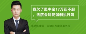 我欠了犀牛宝17万还不起，法院会对我强制执行吗