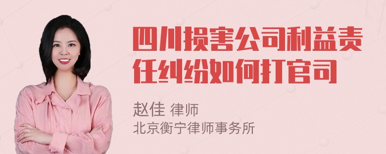 四川损害公司利益责任纠纷如何打官司