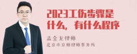 2023工伤步骤是什么，有什么程序