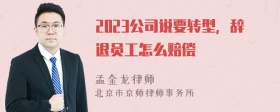 2023公司说要转型，辞退员工怎么赔偿