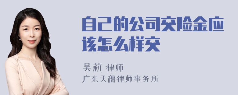 自己的公司交险金应该怎么样交