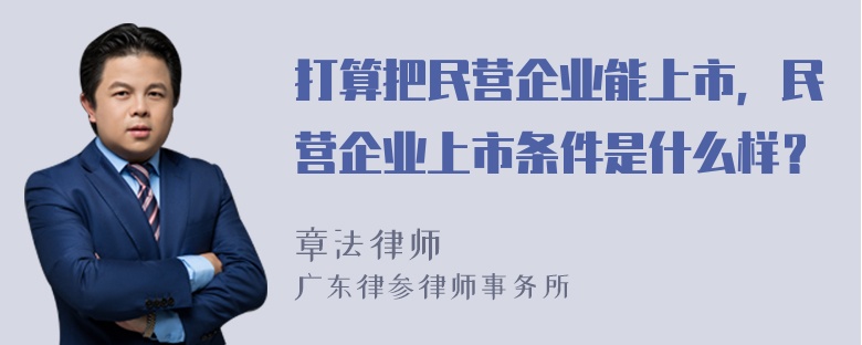 打算把民营企业能上市，民营企业上市条件是什么样？