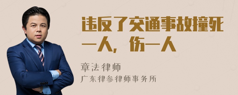 违反了交通事故撞死一人，伤一人