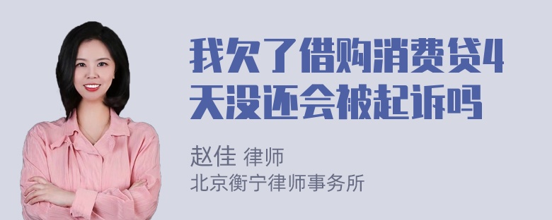 我欠了借购消费贷4天没还会被起诉吗