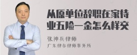 从原单位辞职在家待业五险一金怎么样交