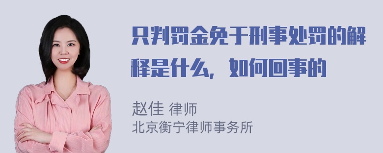 只判罚金免于刑事处罚的解释是什么，如何回事的