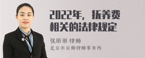 2022年，抚养费相关的法律规定