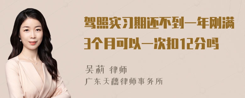 驾照实习期还不到一年刚满3个月可以一次扣12分吗