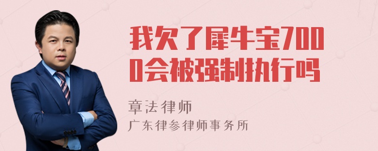 我欠了犀牛宝7000会被强制执行吗