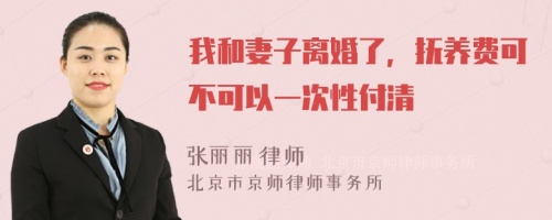 我和妻子离婚了，抚养费可不可以一次性付清