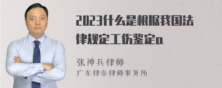 2023什么是根据我国法律规定工伤鉴定a