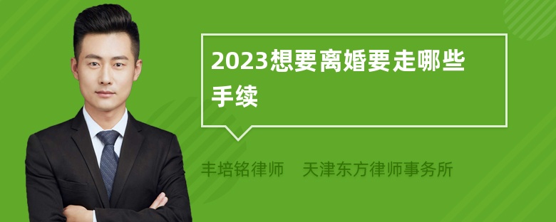 2023想要离婚要走哪些手续