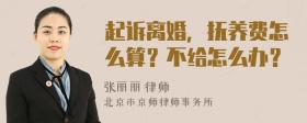 起诉离婚，抚养费怎么算？不给怎么办？