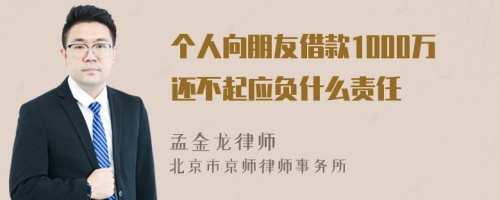 个人向朋友借款1000万还不起应负什么责任