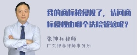 我的商标被侵权了，请问商标侵权由哪个法院管辖呢？