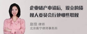 企业破产申请后，设立的债权人委员会行使哪些职权