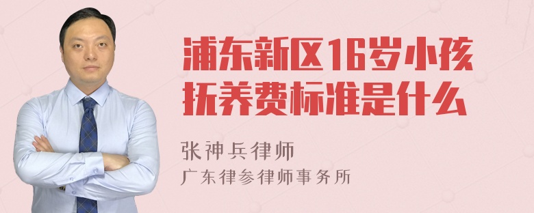 浦东新区16岁小孩抚养费标准是什么