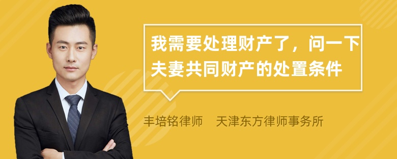 我需要处理财产了，问一下夫妻共同财产的处置条件