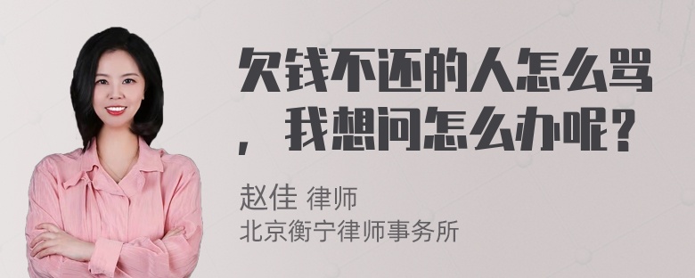 欠钱不还的人怎么骂，我想问怎么办呢？