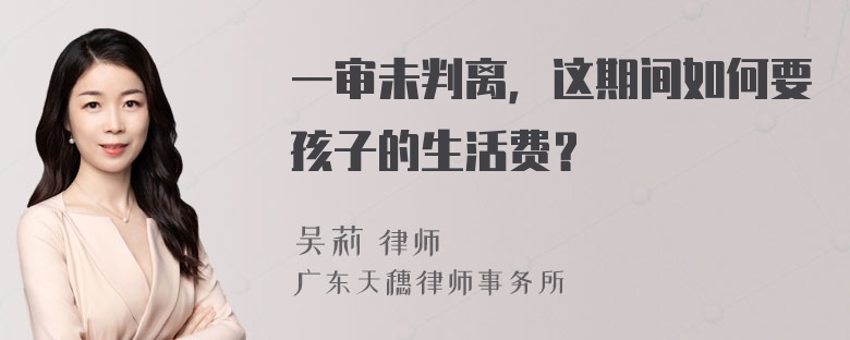 一审未判离，这期间如何要孩子的生活费？