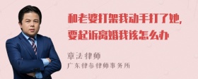 和老婆打架我动手打了她，要起诉离婚我该怎么办