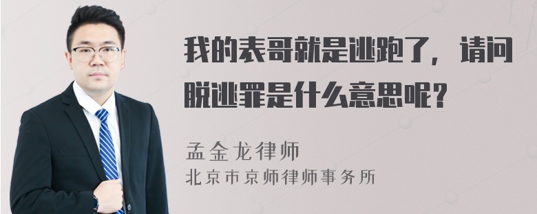 我的表哥就是逃跑了，请问脱逃罪是什么意思呢？