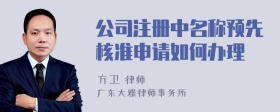 公司注册中名称预先核准申请如何办理