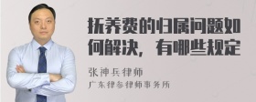 抚养费的归属问题如何解决，有哪些规定