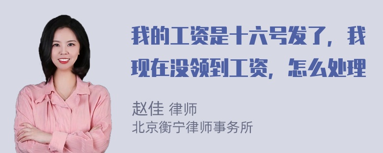 我的工资是十六号发了，我现在没领到工资，怎么处理