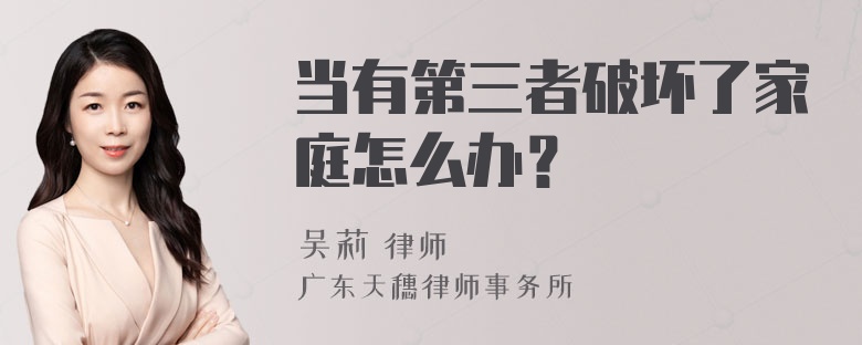 当有第三者破坏了家庭怎么办？