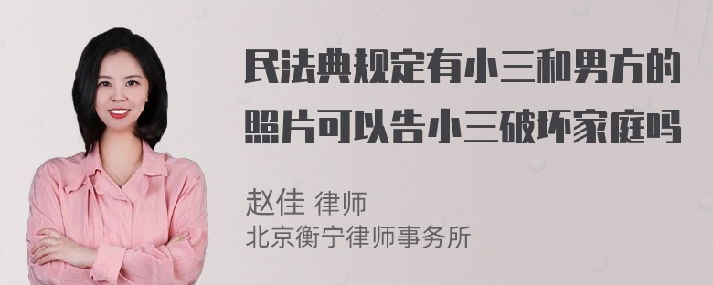 民法典规定有小三和男方的照片可以告小三破坏家庭吗