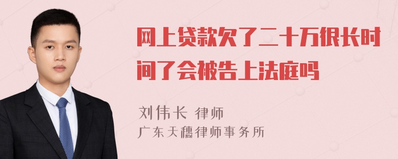 网上贷款欠了二十万很长时间了会被告上法庭吗