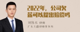 2022年，公司欠薪可以提出赔偿吗