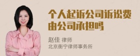 个人起诉公司诉讼费由公司承担吗