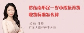 黔东南不足一岁小孩抚养费收费标准怎么算