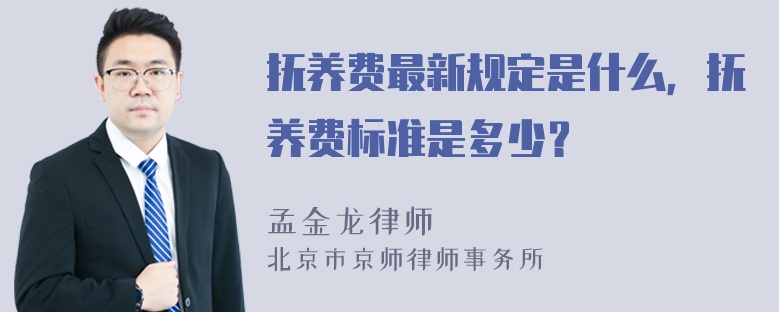 抚养费最新规定是什么，抚养费标准是多少？