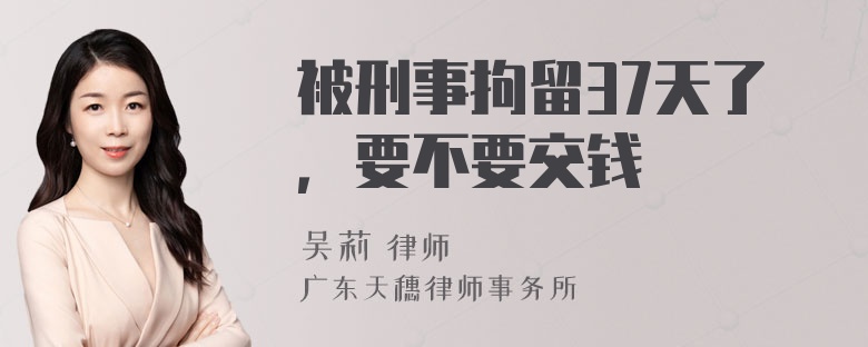 被刑事拘留37天了，要不要交钱