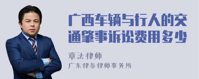 广西车辆与行人的交通肇事诉讼费用多少