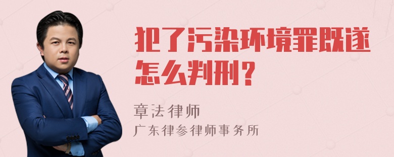 犯了污染环境罪既遂怎么判刑？