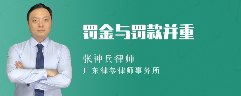 罚金与罚款并重