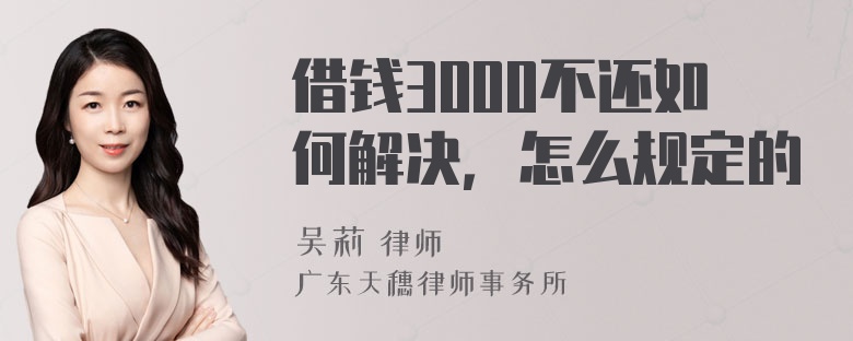 借钱3000不还如何解决，怎么规定的