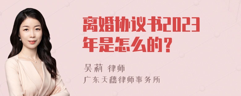 离婚协议书2023年是怎么的？