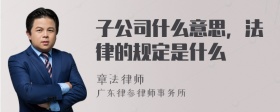 子公司什么意思，法律的规定是什么