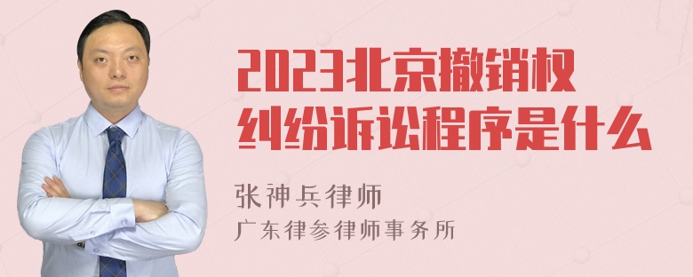 2023北京撤销权纠纷诉讼程序是什么